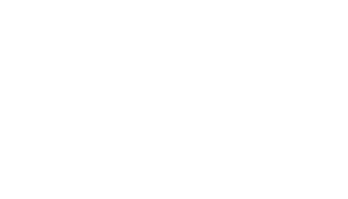 Breizh Coast Burgers — street food de la côte bretonne